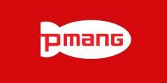Picture of PMANG (Korea) Verified Account