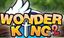 Picture of WonderKing 2 (Korea) Verified Account